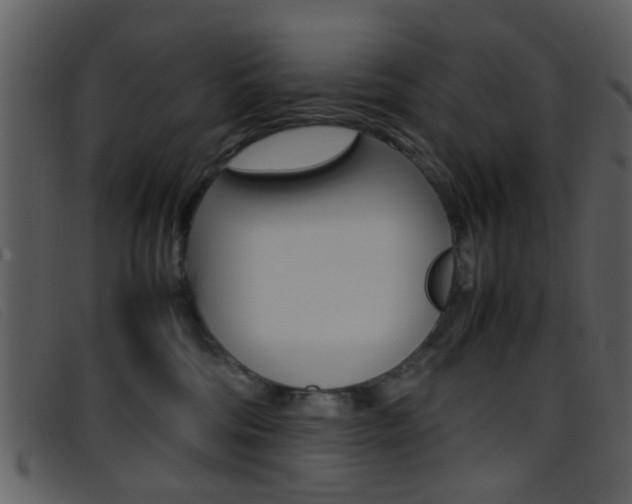 X0000096650330200802050940