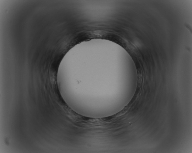 X0000096650331200802050940