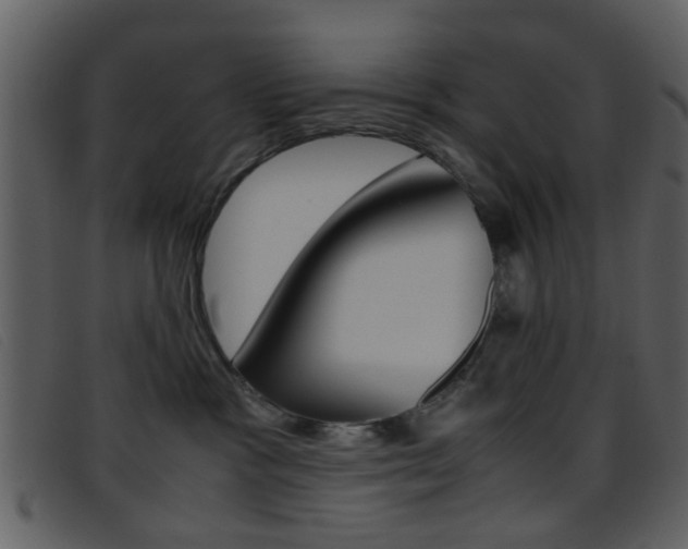 X0000096650333200802050940