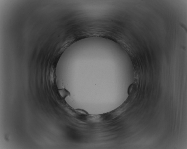 X0000096650334200802050939