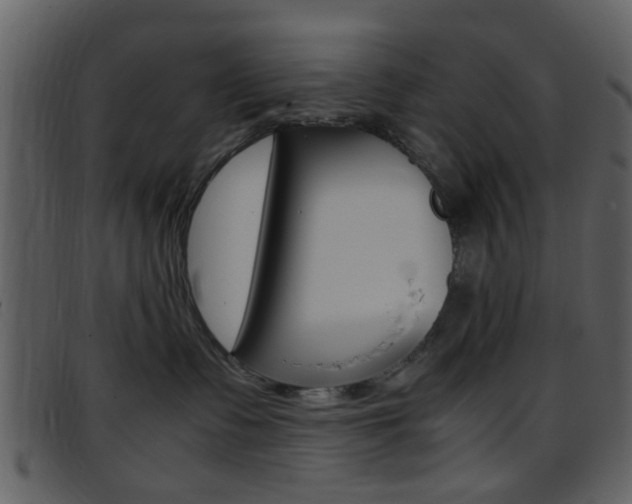 X0000096650335200802050939