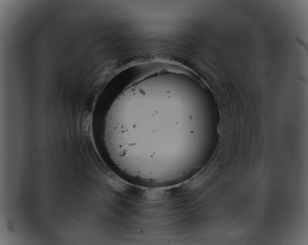X0000096650336200802050939