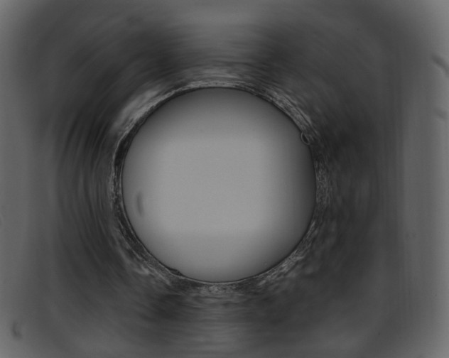X0000096650338200802050939
