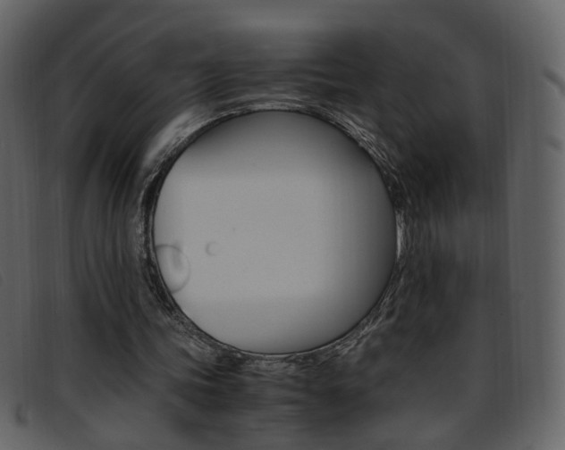 X0000096650339200802050939