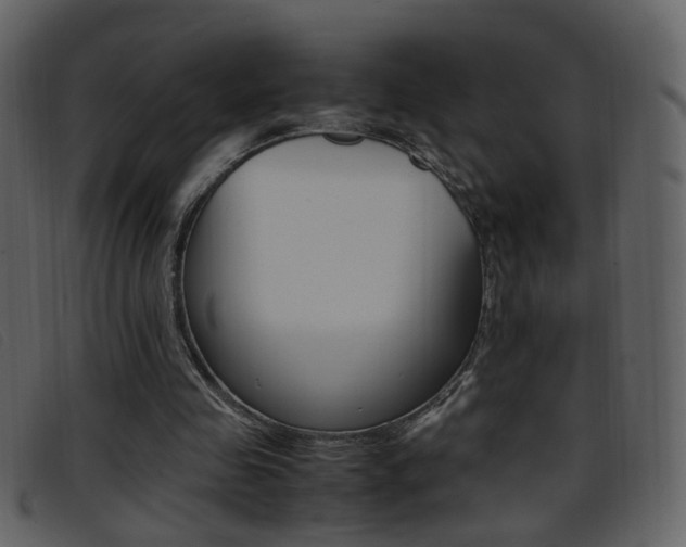 X0000096650341200802050939