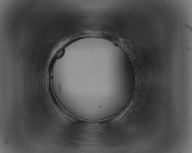 X0000096650342200802050939