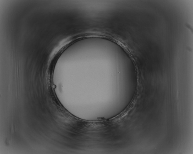X0000096650343200802050939