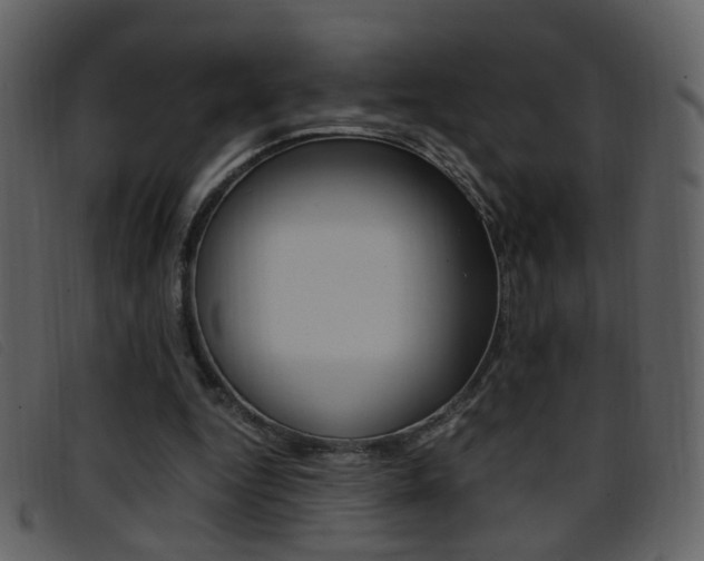 X0000096650344200802050939