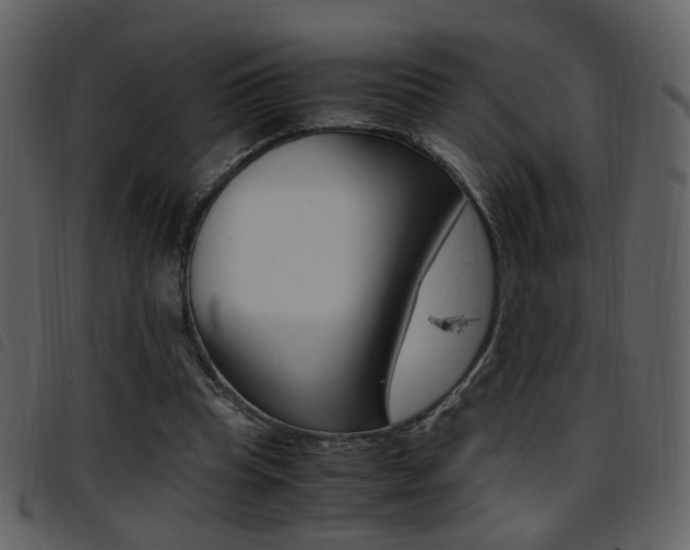 X0000096650345200802050939