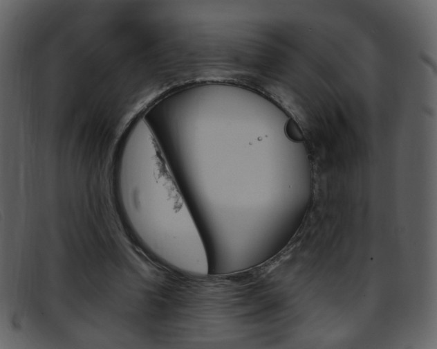X0000096650346200802050939
