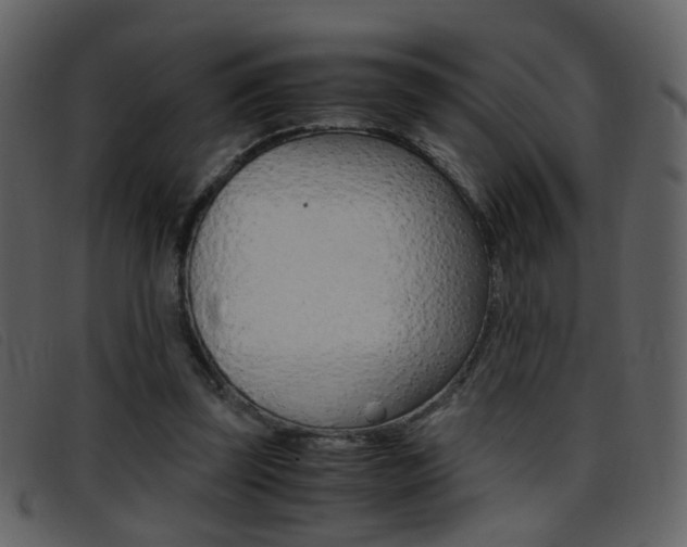 X0000096650347200802050939