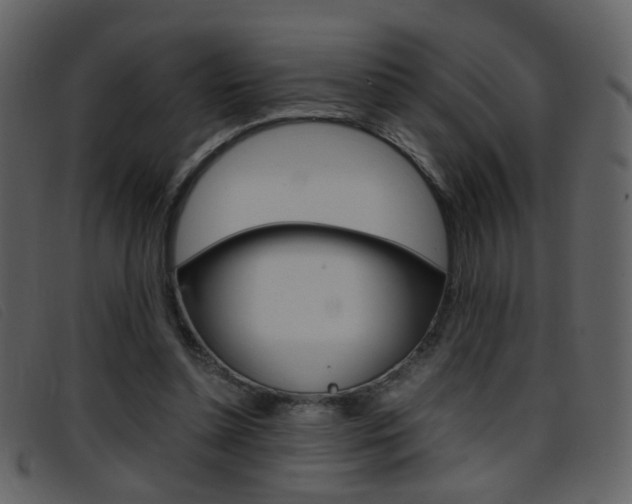 X0000096650348200802050939