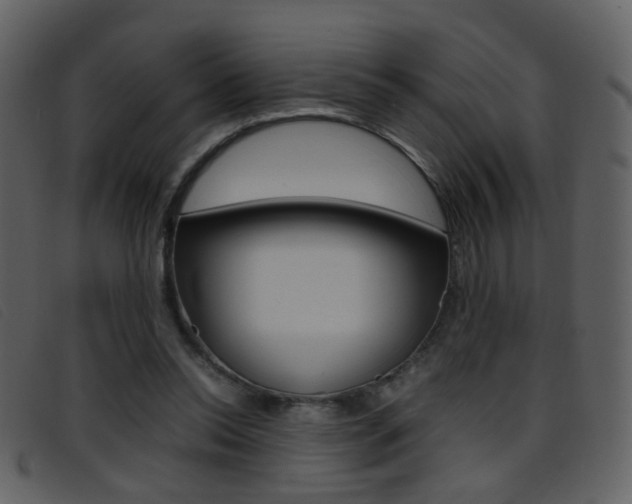 X0000096650350200802050939