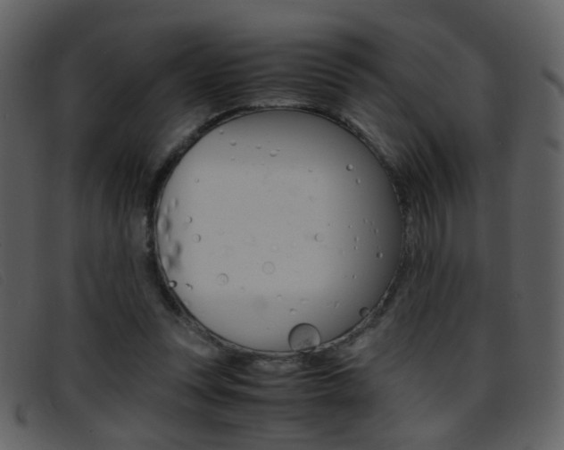 X0000096650351200802050939