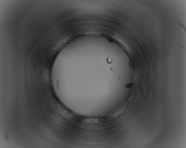 X0000096650353200802050939