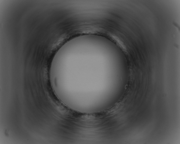X0000096650354200802050939