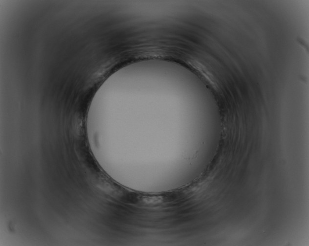 X0000096650355200802050939
