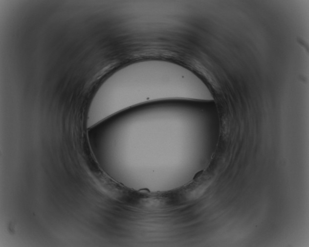 X0000096650356200802050939
