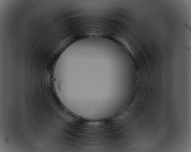 X0000096650357200802050939