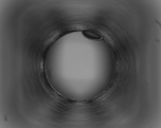 X0000096650358200802050939