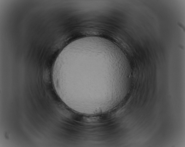X0000096650359200802050939