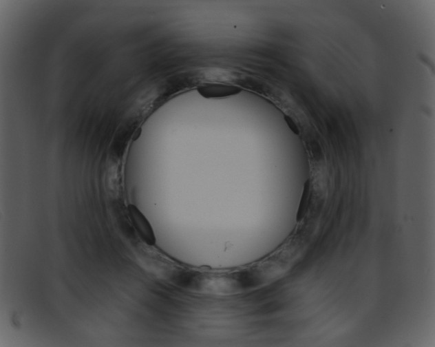 X0000096650360200802050939
