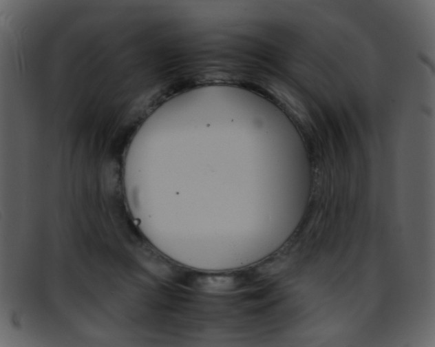 X0000096650361200802050939
