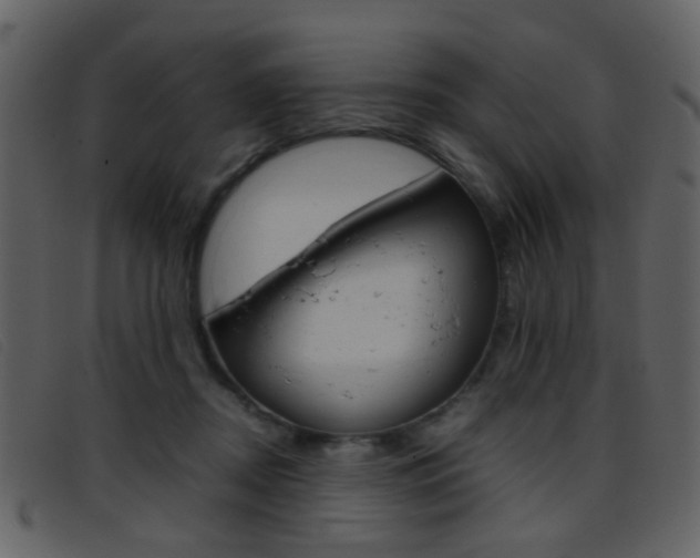 X0000096650362200802050939