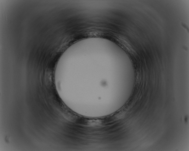 X0000096650363200802050939
