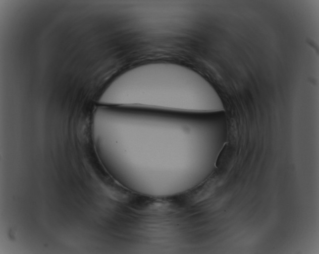 X0000096650364200802050939