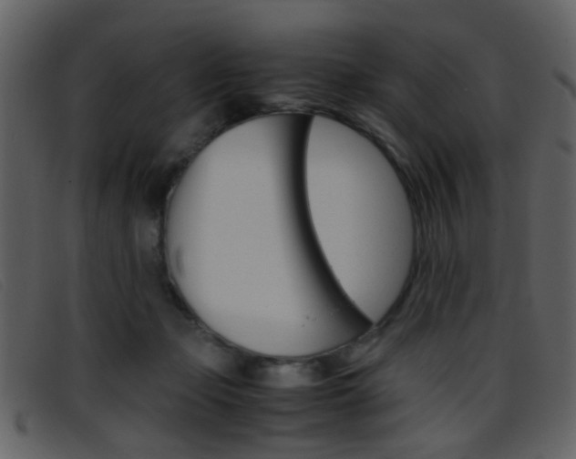 X0000096650365200802050939