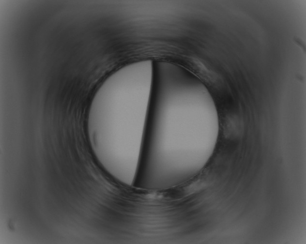 X0000096650366200802050939