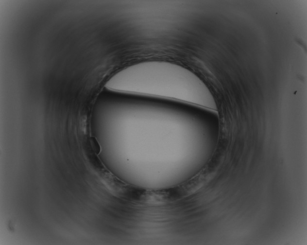 X0000096650368200802050939