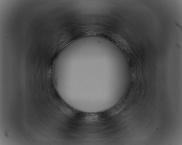 X0000096650369200802050939