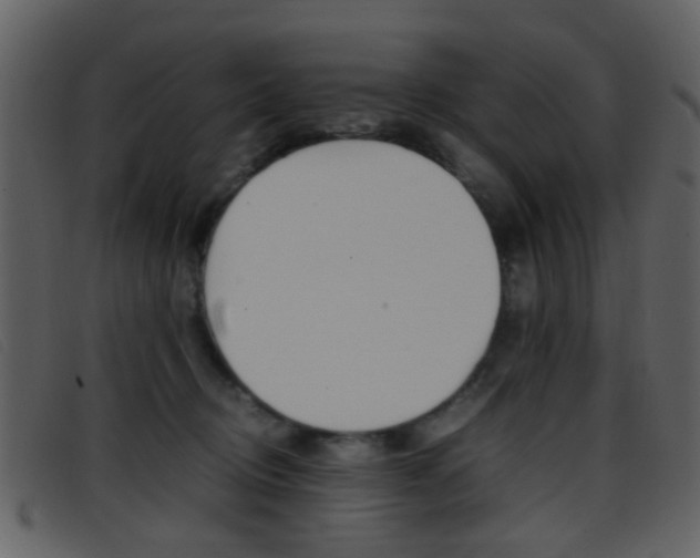X0000096650370200802050939