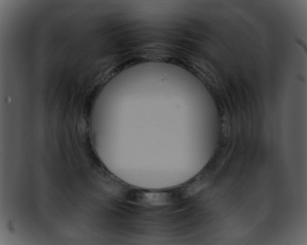 X0000096650371200802050939