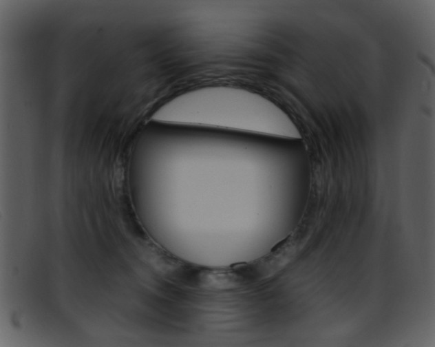X0000096650372200802050939