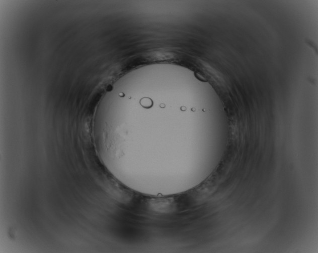 X0000096650373200802050939