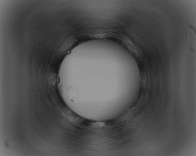 X0000096650374200802050939