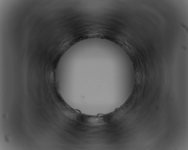 X0000096650375200802050939
