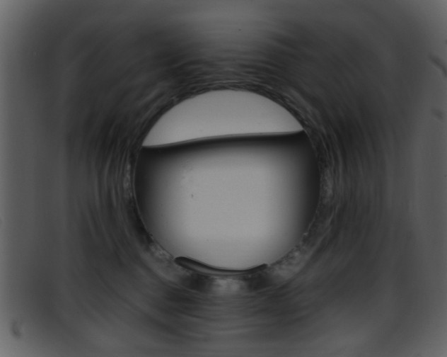 X0000096650376200802050939