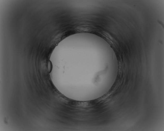 X0000096650377200802050939