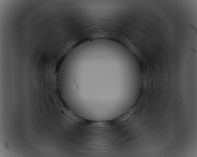 X0000096650378200802050939