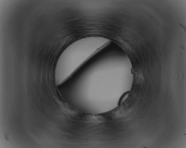 X0000096650379200802050939