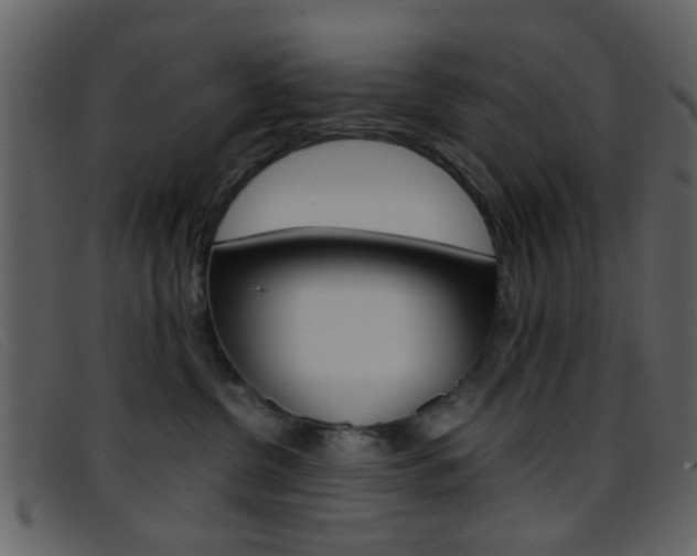 X0000096650380200802050939