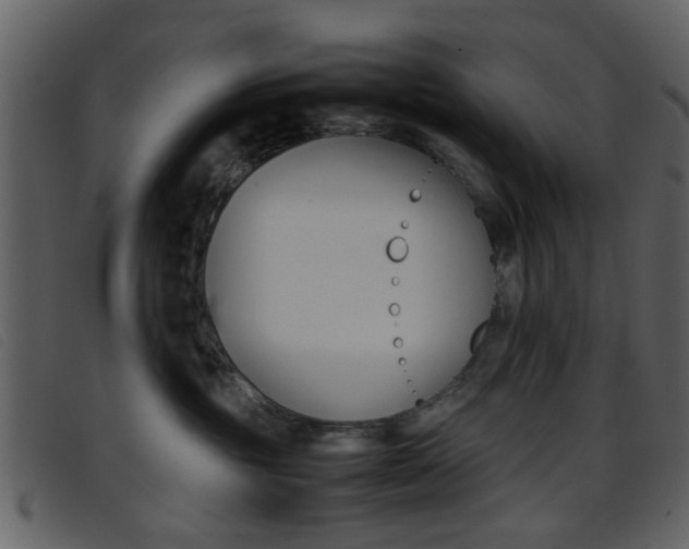 X0000096650381200802050939