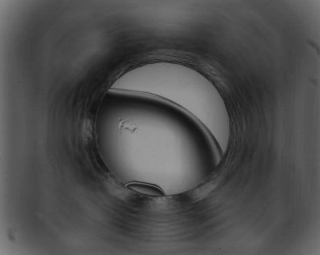 X0000096650382200802050939
