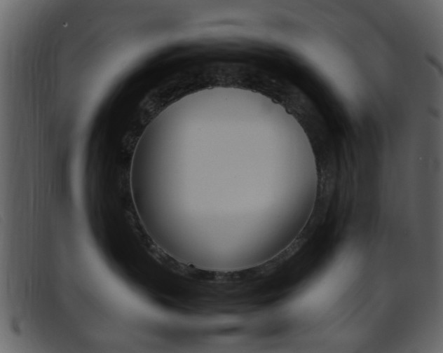 X0000096650383200802050939