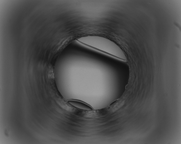 X0000096650384200802050939