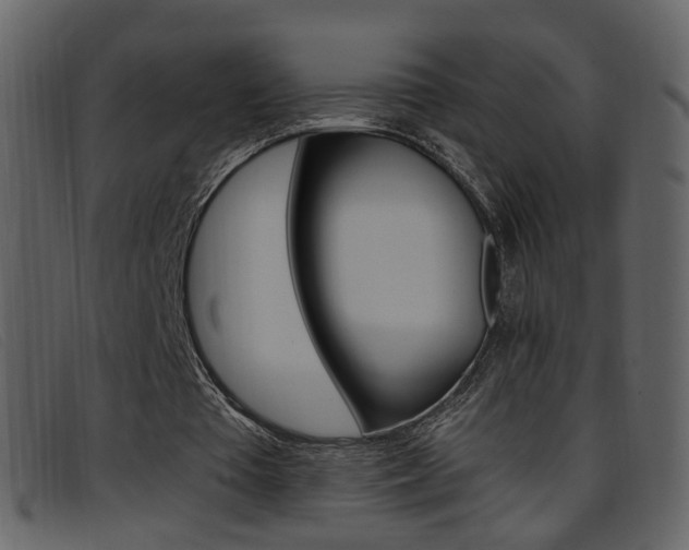 X0000096650385200802050939